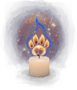 Flame Logo transparent no text