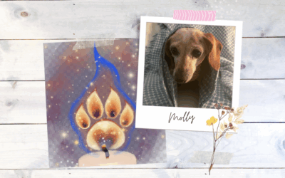 Dear Molly You Were So Loved