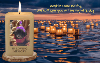 🐾 My Girl Betty – A Rescue Story of Love & Healing 🐾