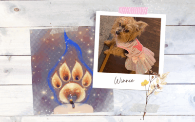 Precious Winnie