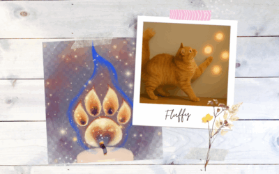 Missing Fluffy … Knowing She Is In Peace Provides Comfort