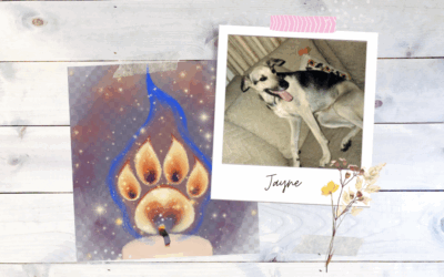 Jayne Whitlatch