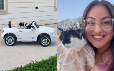 🐾 Holly’s Quinceañera: A Celebration 15 Years in the Making 💃🎉
