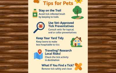 🐾 Summer Tick Tips for Pets: Keep Your Fur Babies Safe! ☀️🐶🐱