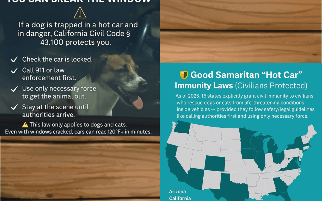 🐾 BREAK THE WINDOW: California Law Has Your Back 🧯💥