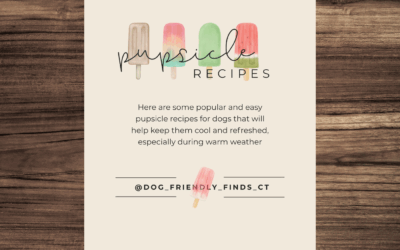🐾 Pupsicle Recipes to Keep Your Dog Cool This Summer! 🍦🐶