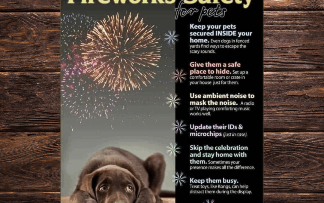 🎆 July 4th Pet Safety Tips 🇺🇸