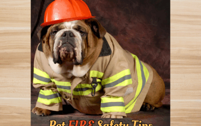 🐾 Pet Fire Safety Tips: Keep Your Furry Friends Safe from Fire Hazards! 🔥