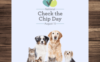🐾 National Check the Chip Day – August 15th: A Lifesaving Reminder for Pet Owners