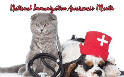 🐾 National Immunization Awareness Month — Protecting Our Pets Together