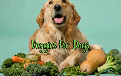 🥦 Safe Vegetables for Dogs: What’s Good, What to Avoid