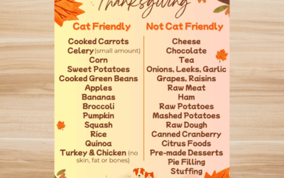 🦃🐱 Thanksgiving Cat Safety Guide: What Holiday Foods Are Safe for Your Cat?