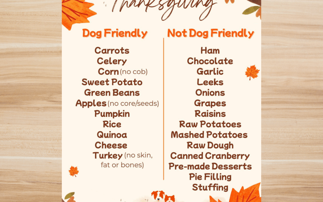 🦃🐶 Thanksgiving Dog Safety Guide: What Holiday Foods Are Safe for Your Pup?