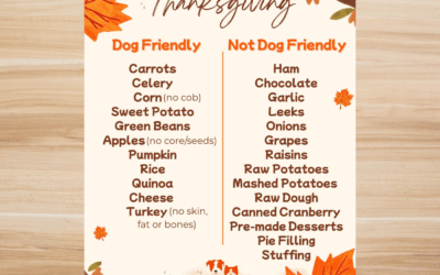 🦃🐶 Thanksgiving Dog Safety Guide: What Holiday Foods Are Safe for Your Pup?