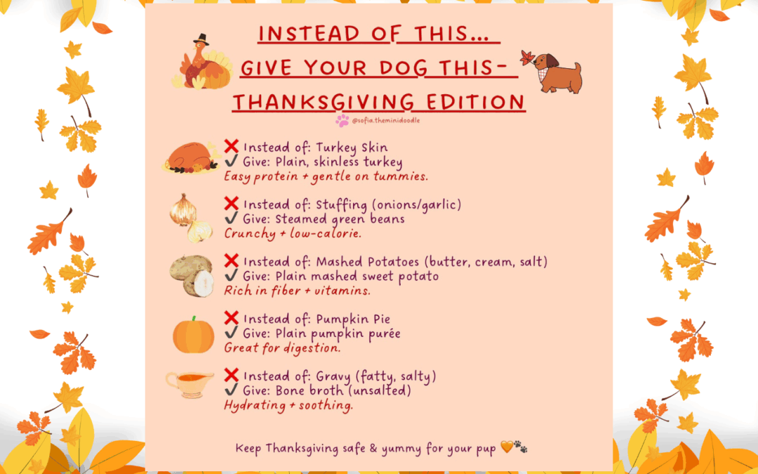 🦃🐾 A Safe Thanksgiving Guide for Dogs: Healthy Holiday Food Swaps Every Pet Parent Should Know