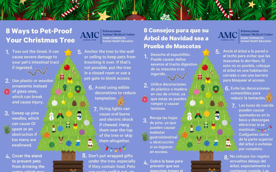 🐾🎄 Holiday Pet Safety Tips / Consejos de Seguridad Navideña para Mascotas