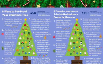 🐾🎄 Holiday Pet Safety Tips / Consejos de Seguridad Navideña para Mascotas
