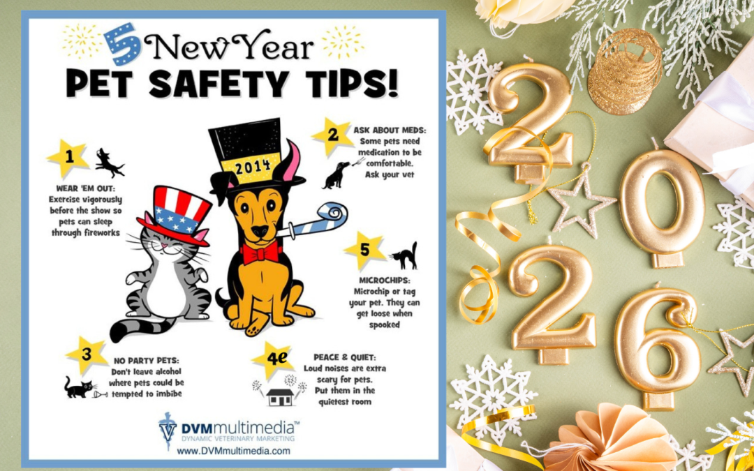 🎉 New Year Pet Safety Tips: Keep Your Pets Calm, Secure, and Protected 🐶🐱