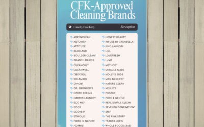 🧼 Cruelty-Free Cleaning Products: Your Ultimate Ethical Shopping Guide 🐰✨