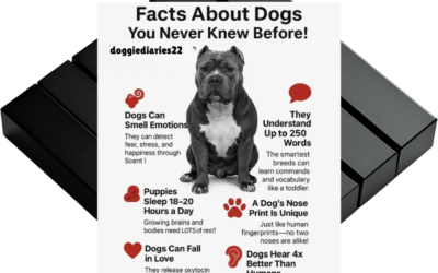 🐾 Facts About Dogs You Never Knew Before
