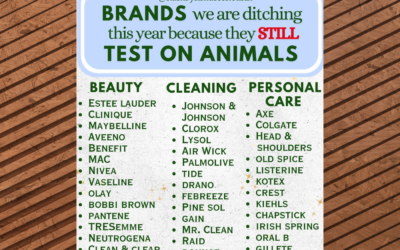🚫🐰 Why Choosing Cruelty-Free & Non-Toxic Products Matters More Than Ever