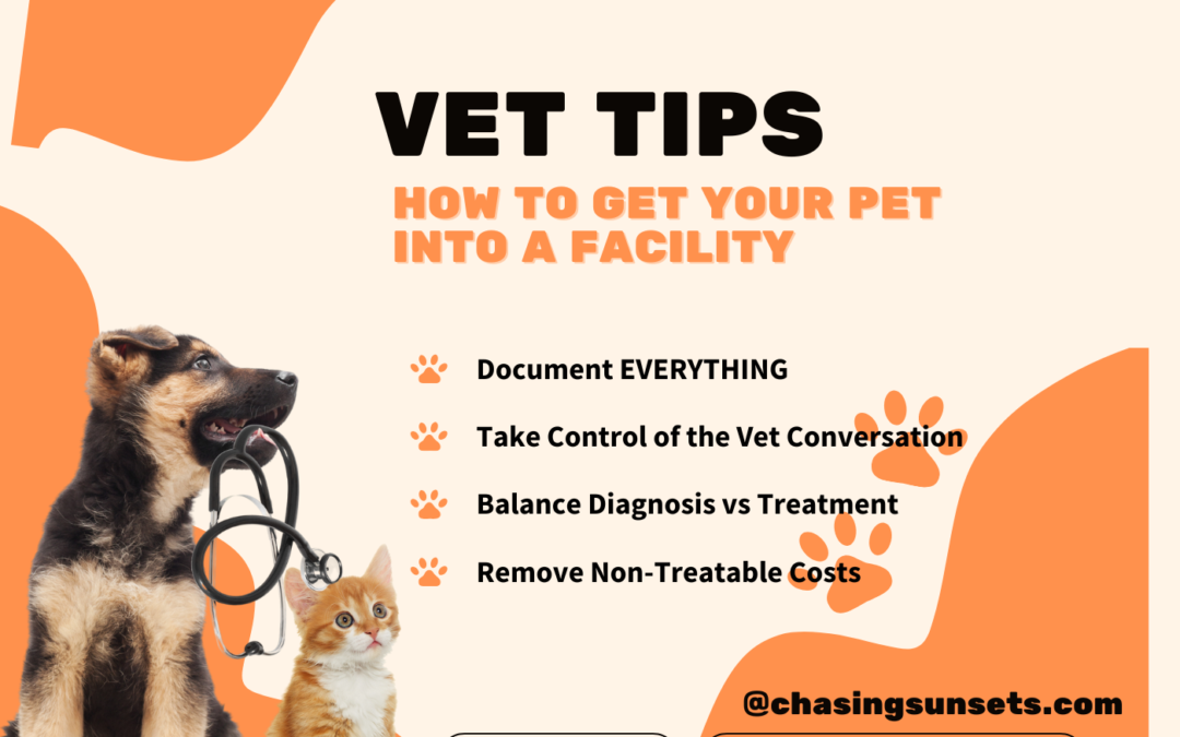 🏥 Rising Veterinary Costs: How to Get Emergency Care for Your Pet Without Going Broke 💸🐶🐱