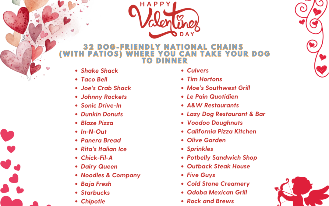 🐶🍽️ 32 Dog-Friendly National Restaurant Chains With Patios