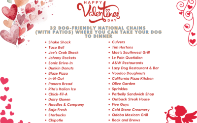 🐶🍽️ 32 Dog-Friendly National Restaurant Chains With Patios