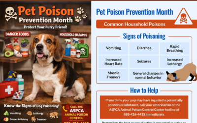 ☠️🐾 Pet Poison Prevention Month: What Every Pet Parent Needs to Know